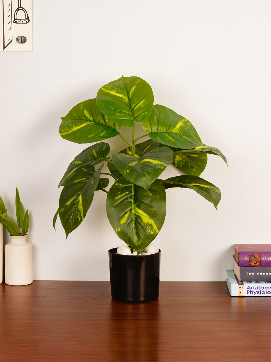 Artificial Pothos Plant - 55cm Tall