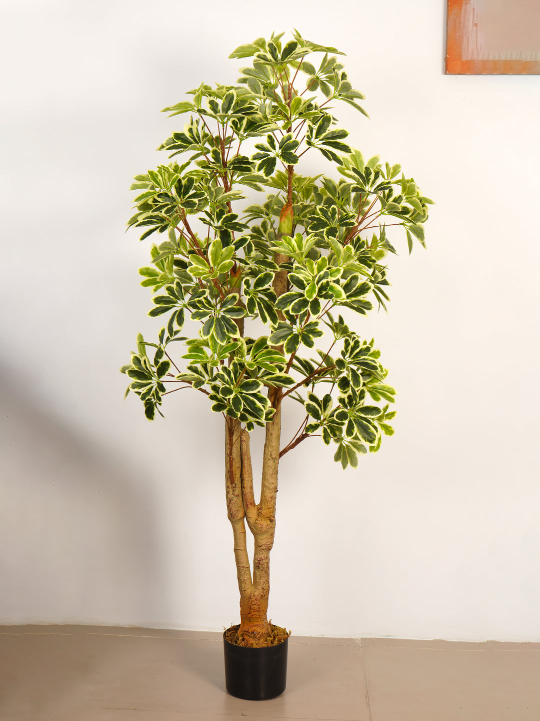 6Ft Artificial Umbrella Schefflera Tree in Pot