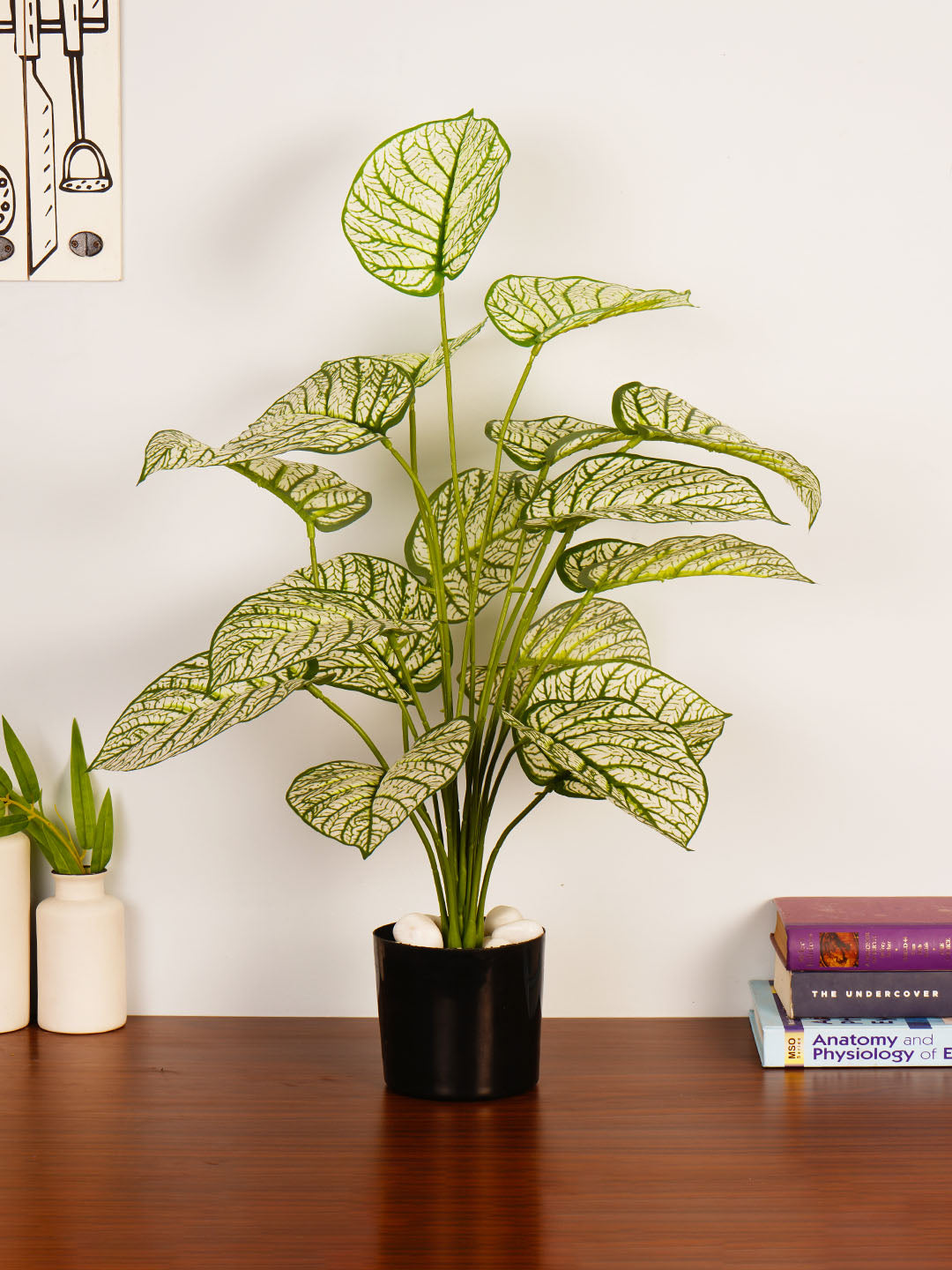 Artificial Dieffenbachia Plant - 65cm Tall