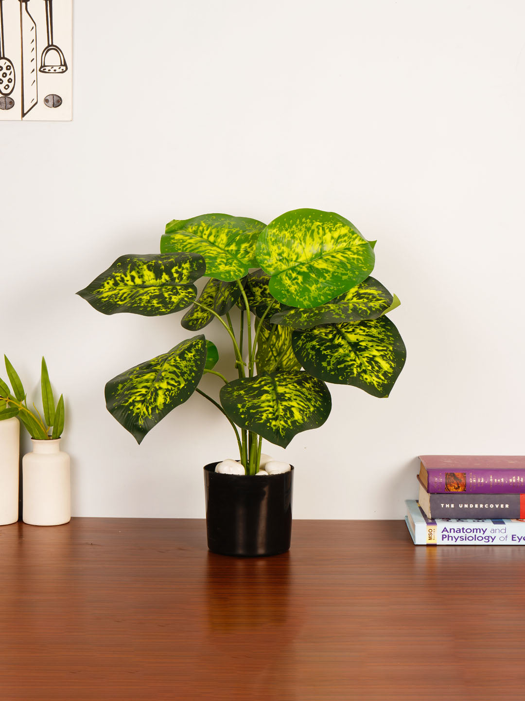 Artificial Dieffenbachia Plant - 55cm Tall