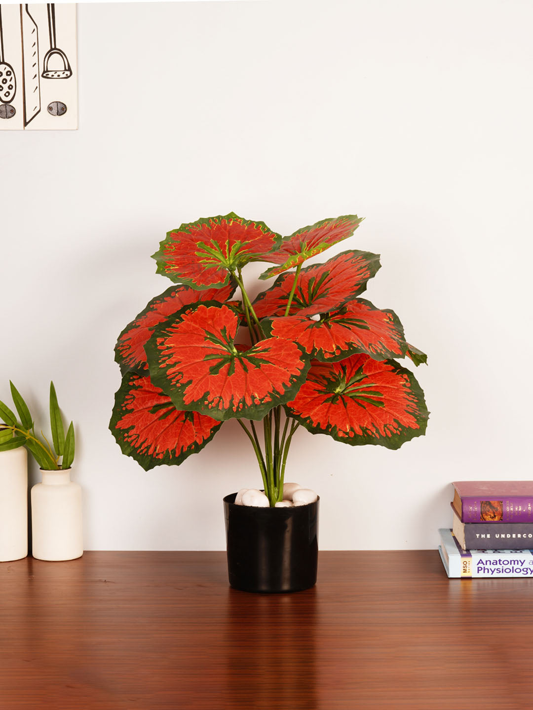 Artificial Calathea Plant - 55cm Tall