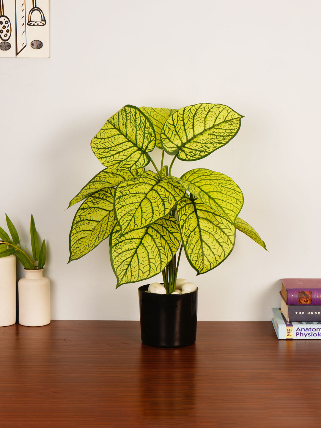 Artificial Dieffenbachia Plant - 55cm Tall
