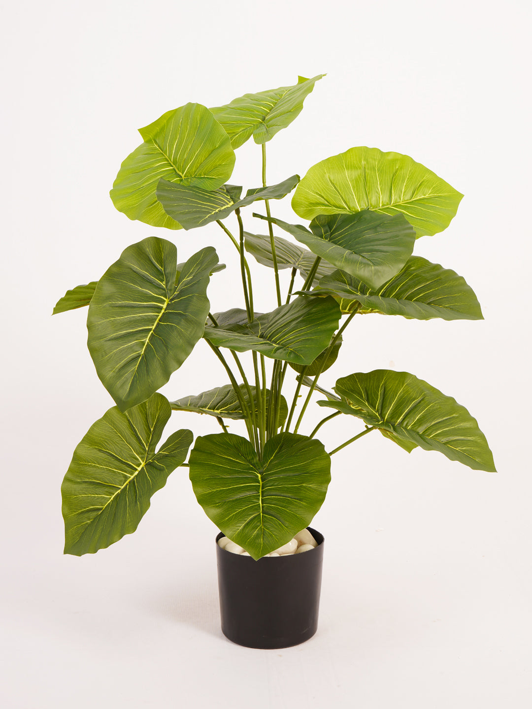 Artificial Rubber Plant - 65cm Tall