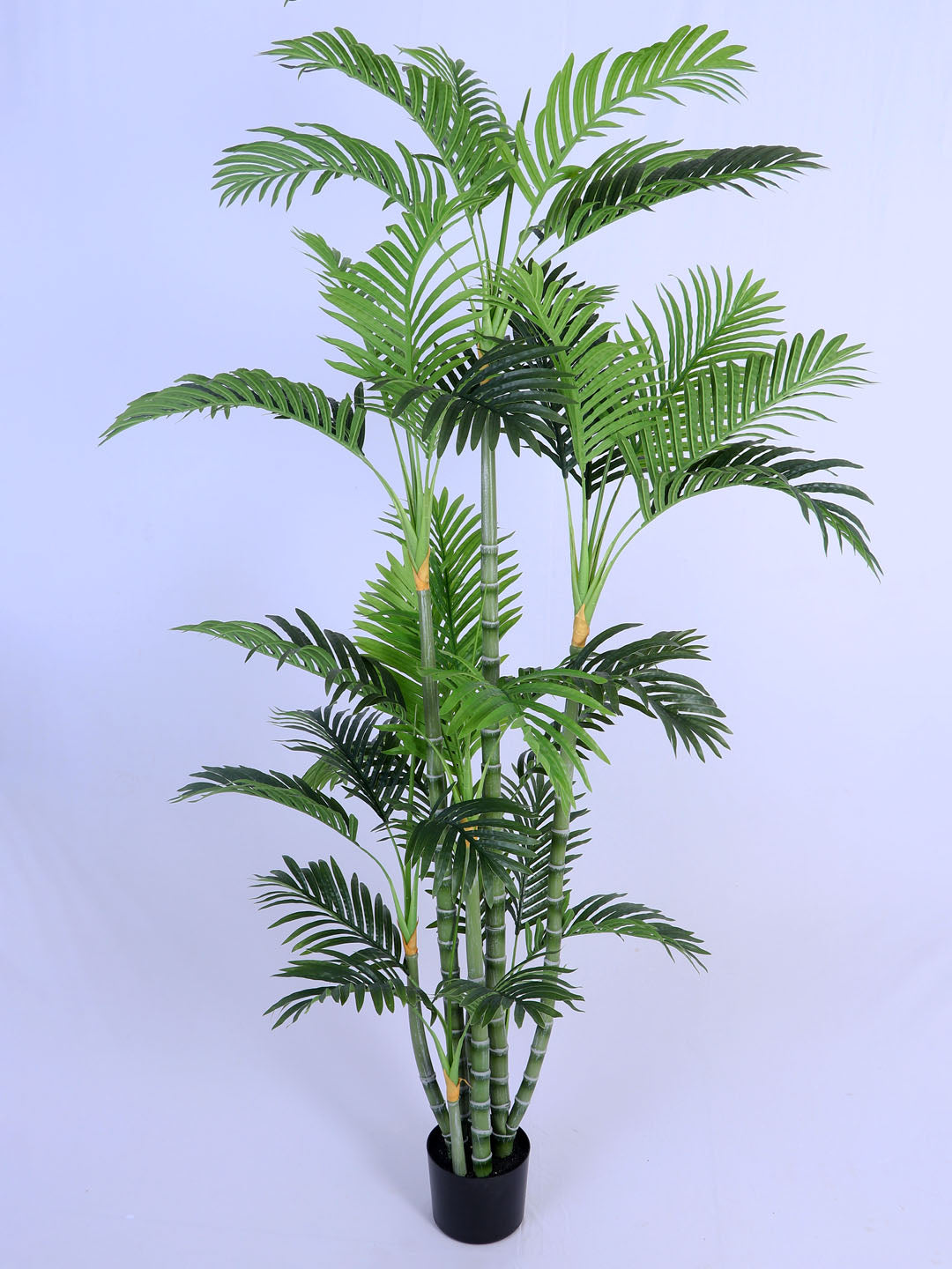 6FT Artificial Golden Areca Palm Tree with Black Pot