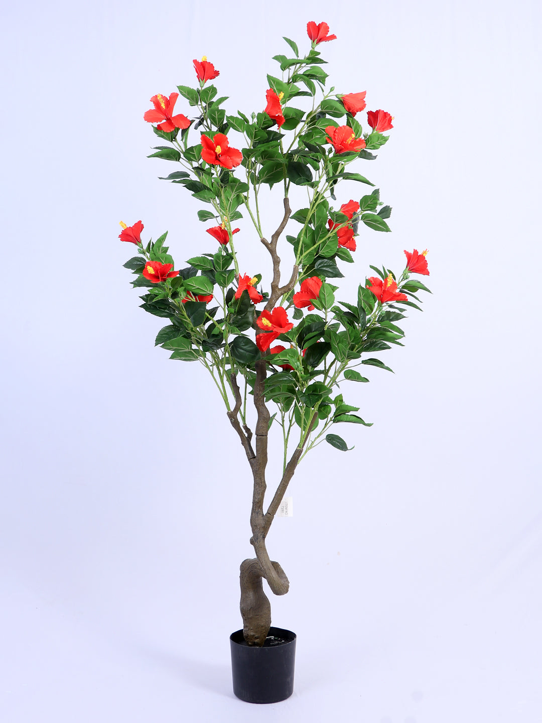 6Ft Artificial Hibiscus Flower Plant with Pot