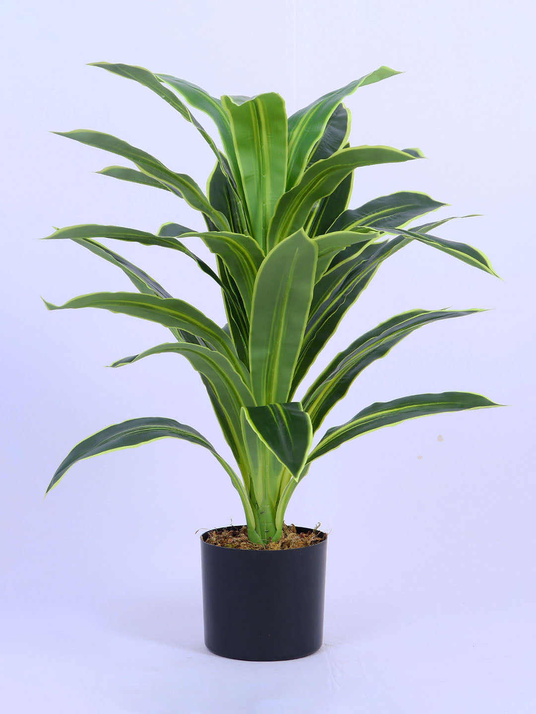 3Ft Artificial Variegated Dracaena Plant in Pot