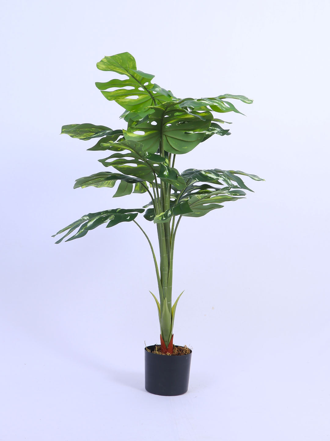 3.1Ft Artificial Variegated Monstera Plant in Pot