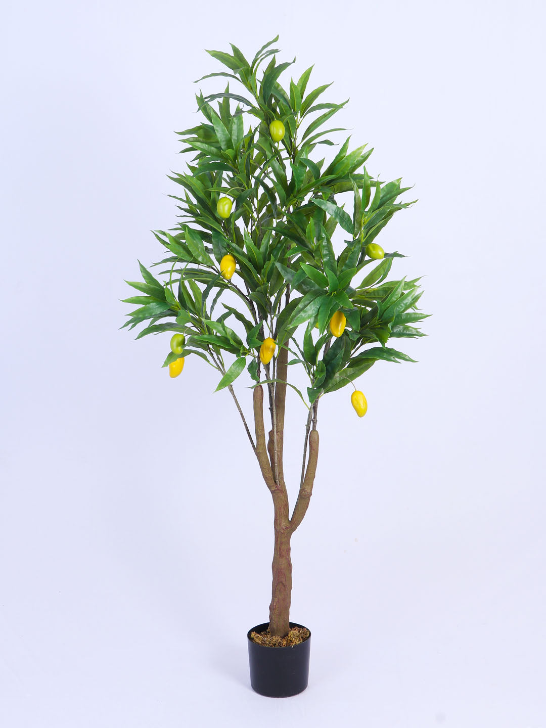 5FT Artificial Mango Plant with Black Pot,