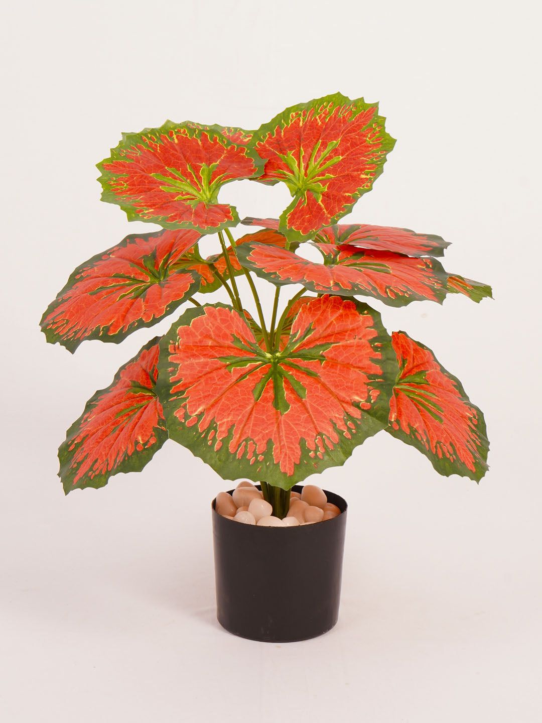 Artificial Calathea Plant - 55cm Tall