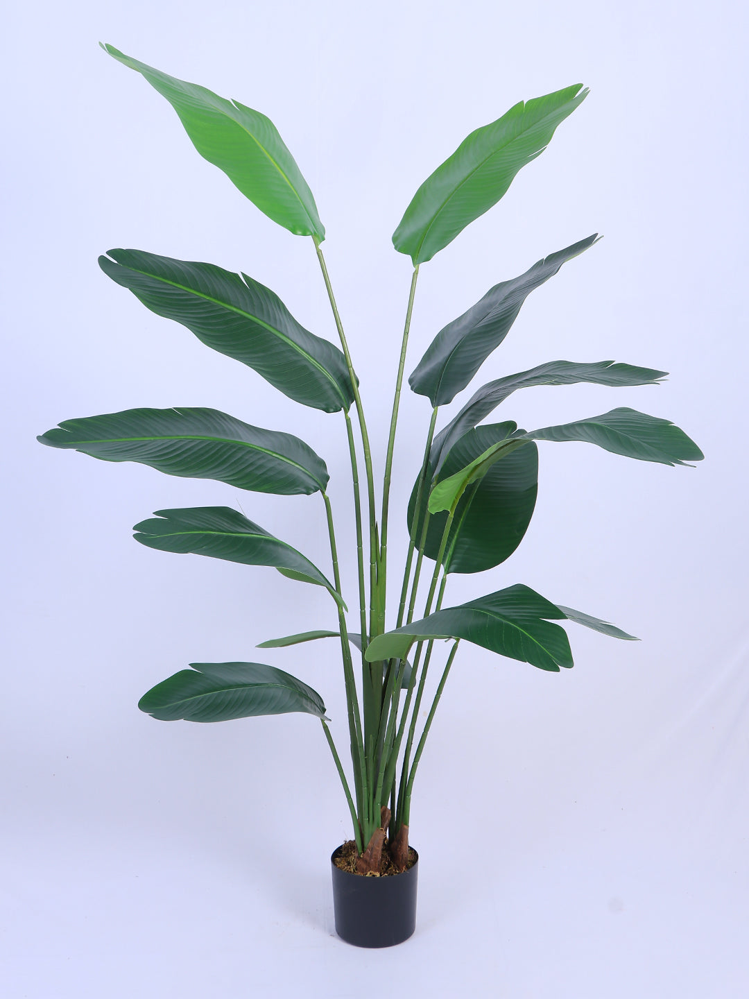 5Ft Artificial Bird of Paradise Tree in Pot