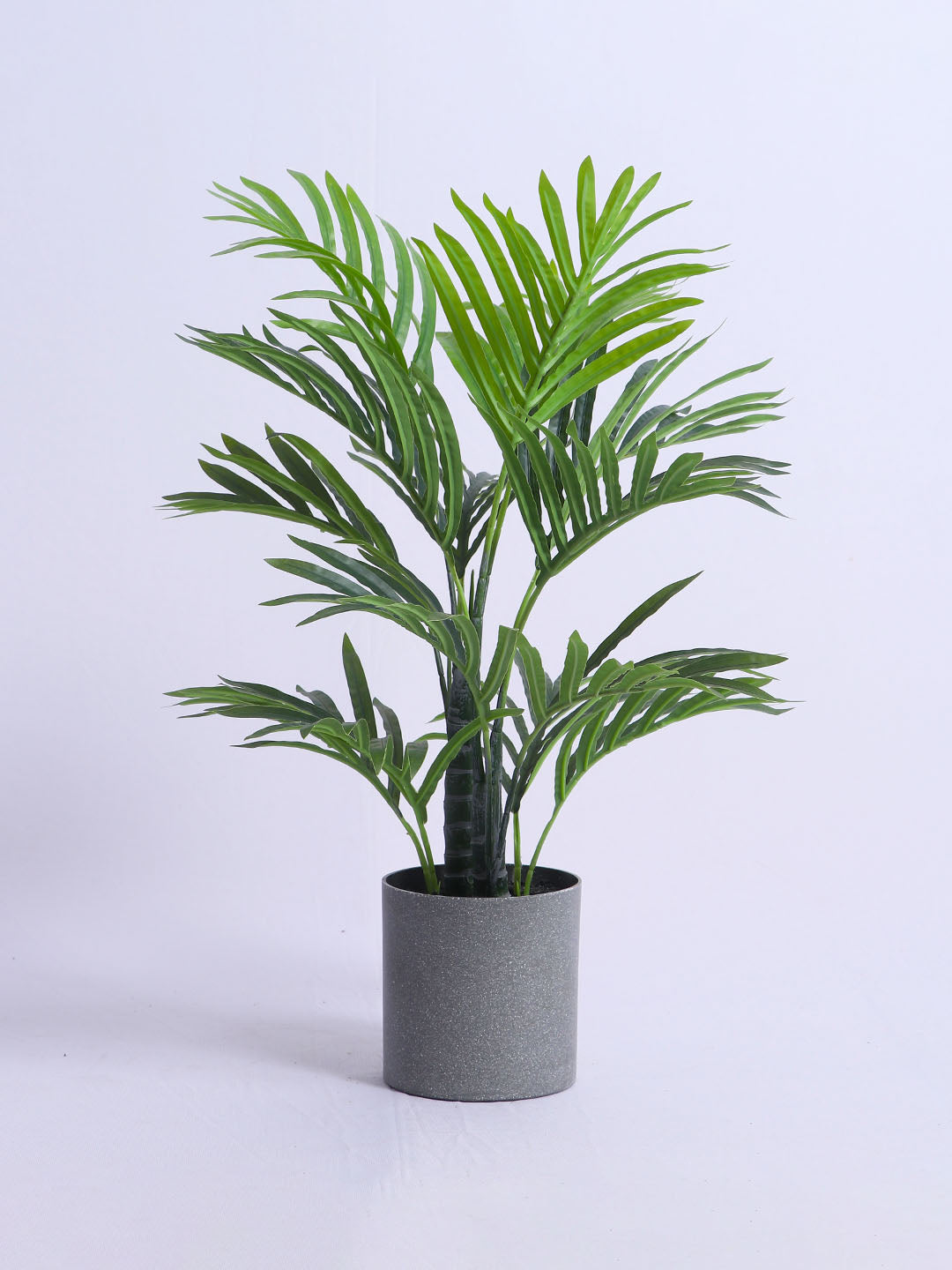 1.6Ft Artificial Golden Areca Palm Plant with Black Pot