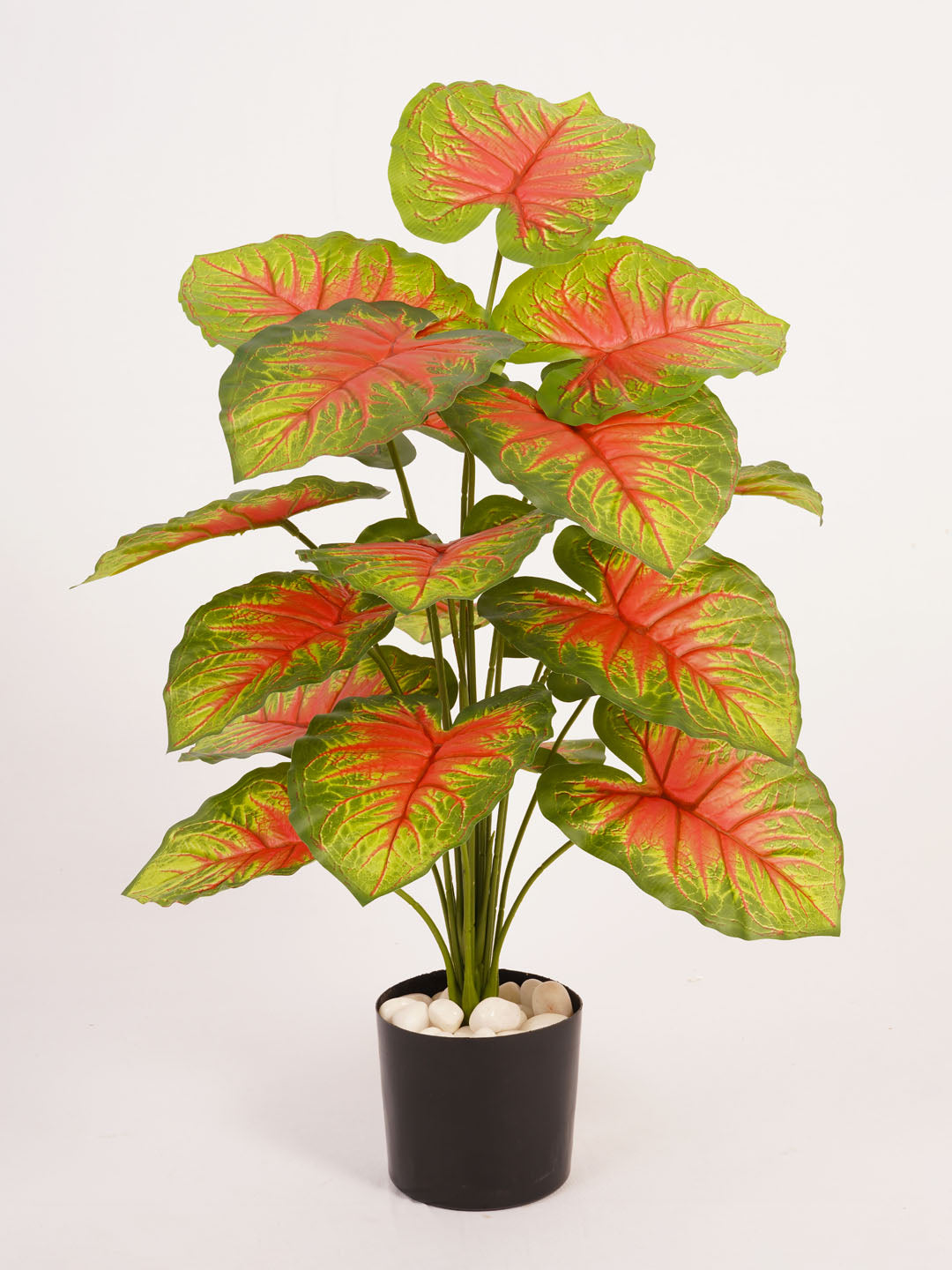 Artificial Caladium Plant - 65cm Tall