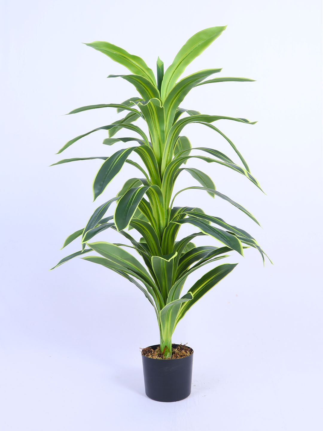 4Ft Artificial Variegated Dracaena Plant in Pot
