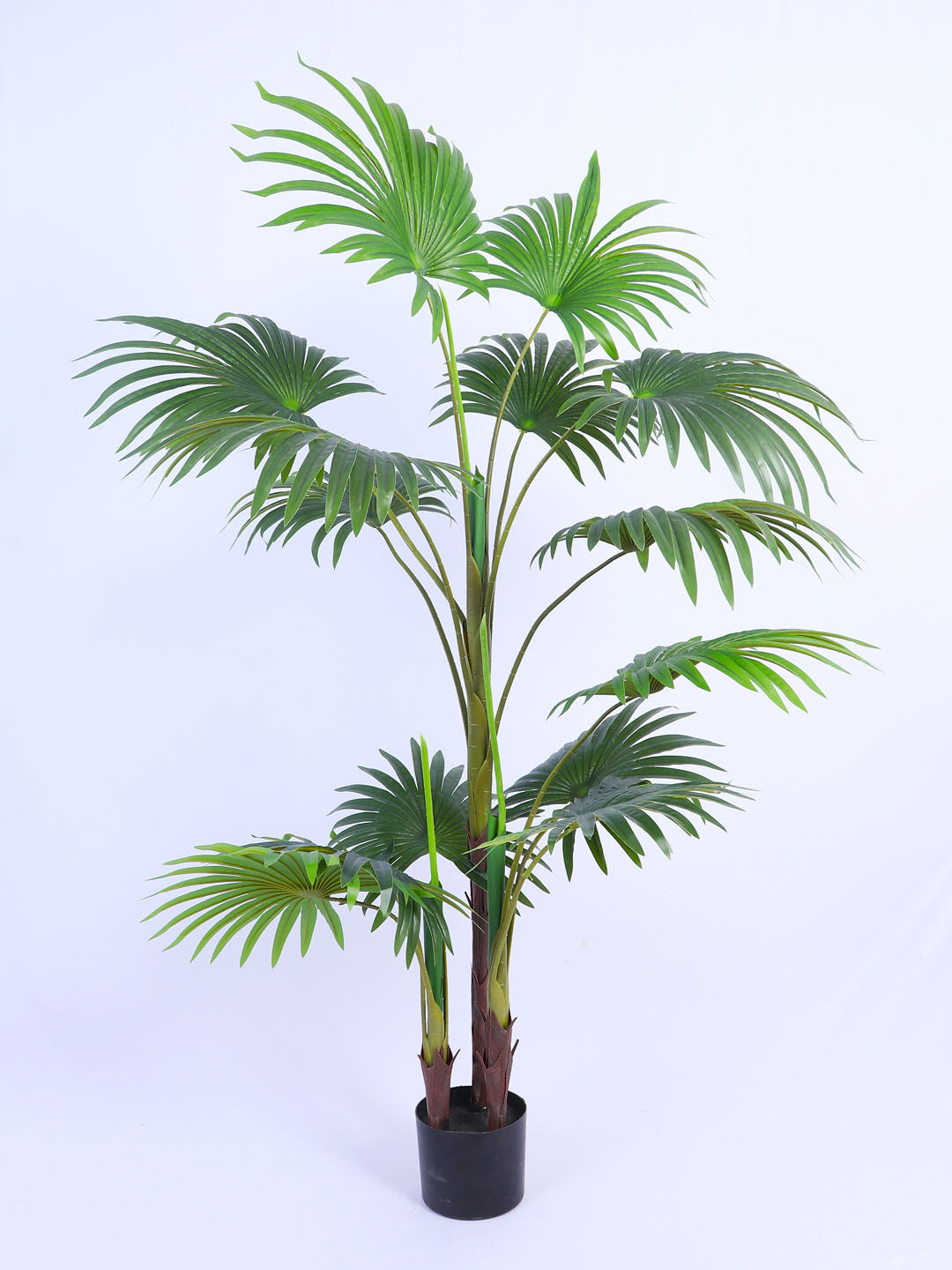 4.7Ft Artificial Palmetto Palm Tree in Pot