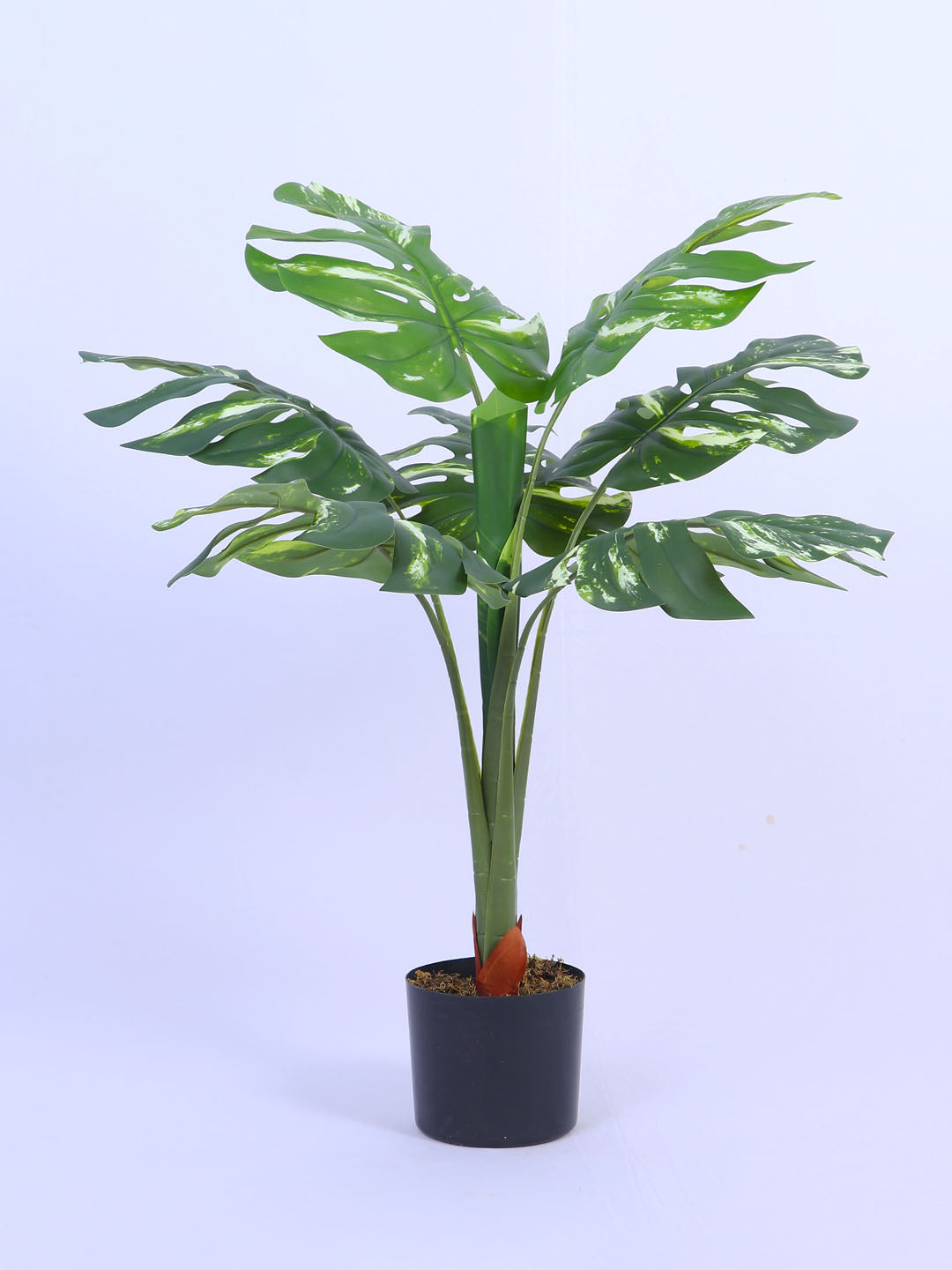 2.8Ft Artificial Variegated Monstera Plant in Pot