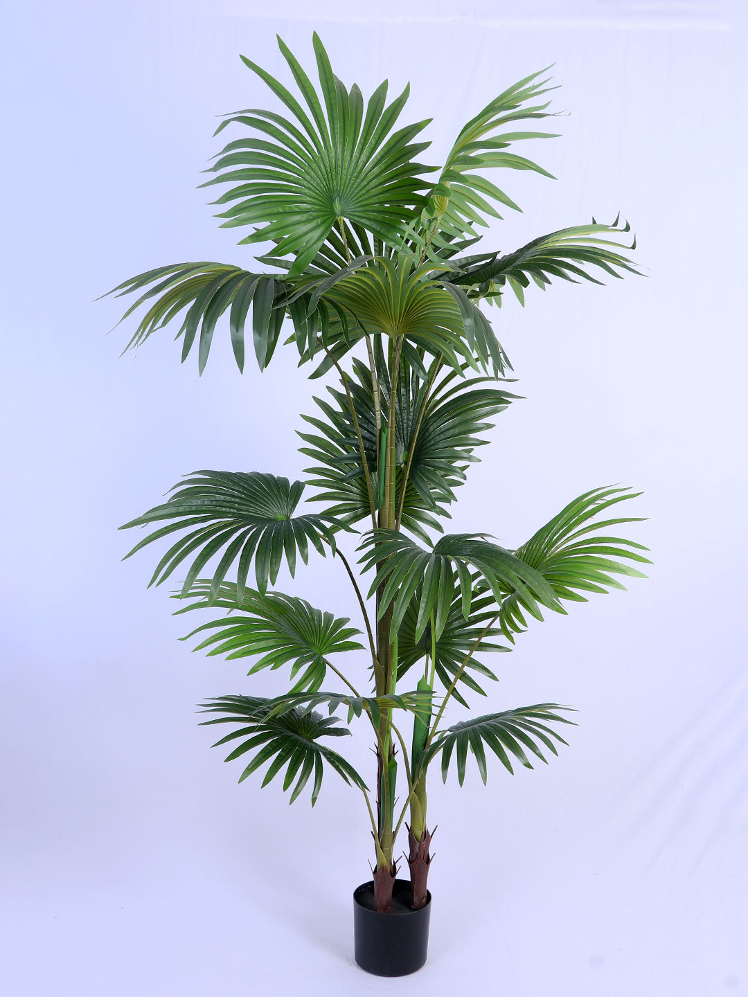 6Ft Artificial Palmetto Palm Tree in Pot)