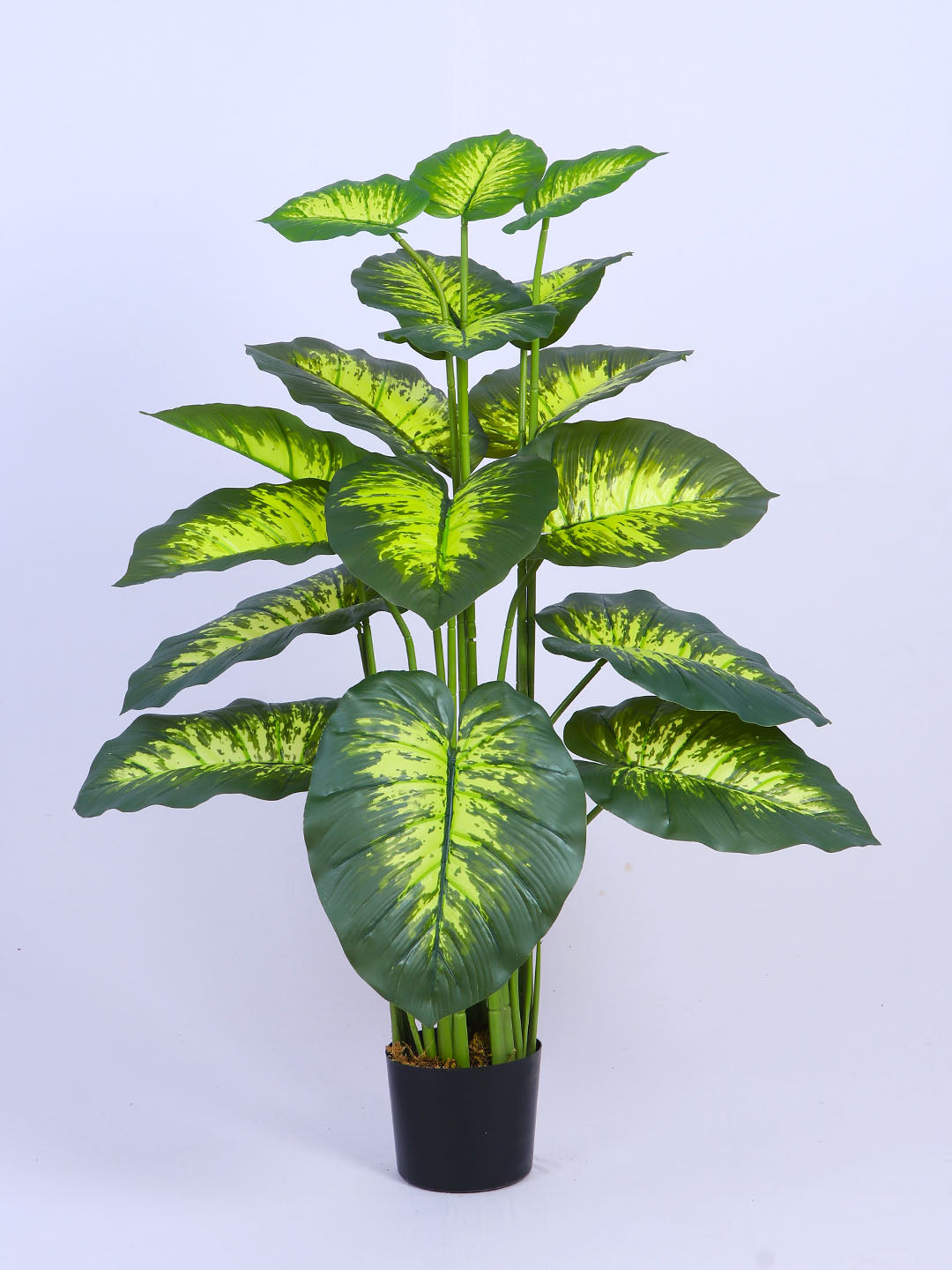 4Ft Artificial Dieffenbachia Plant in Black Pot