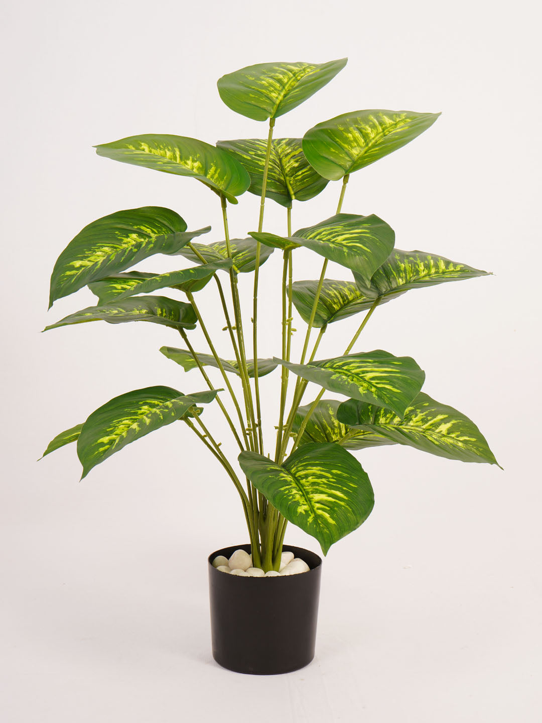 Artificial Dieffenbachia Plant in Black Pot