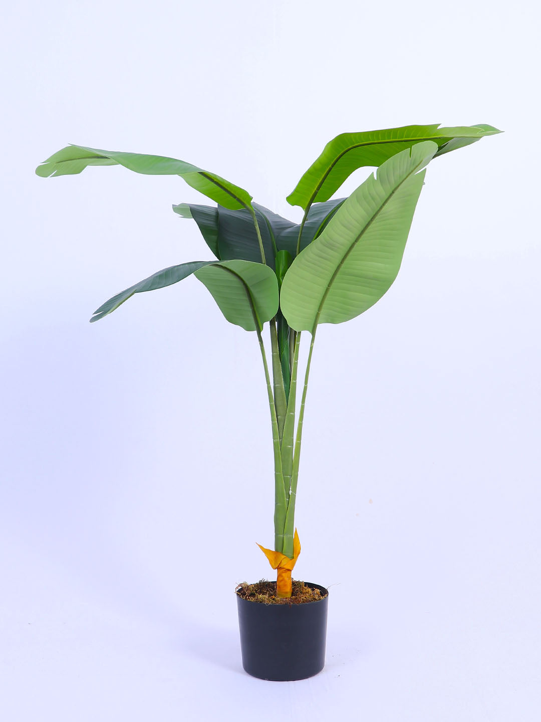 4fT Artificial Banana Plant with Pot