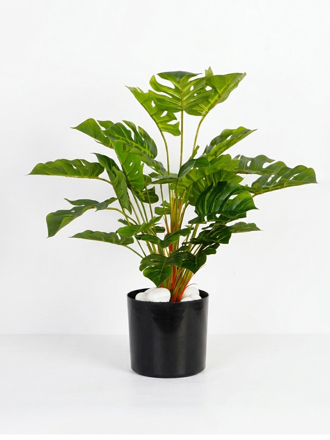 1.8Ft Artificial Rubber Plant in Black Pot