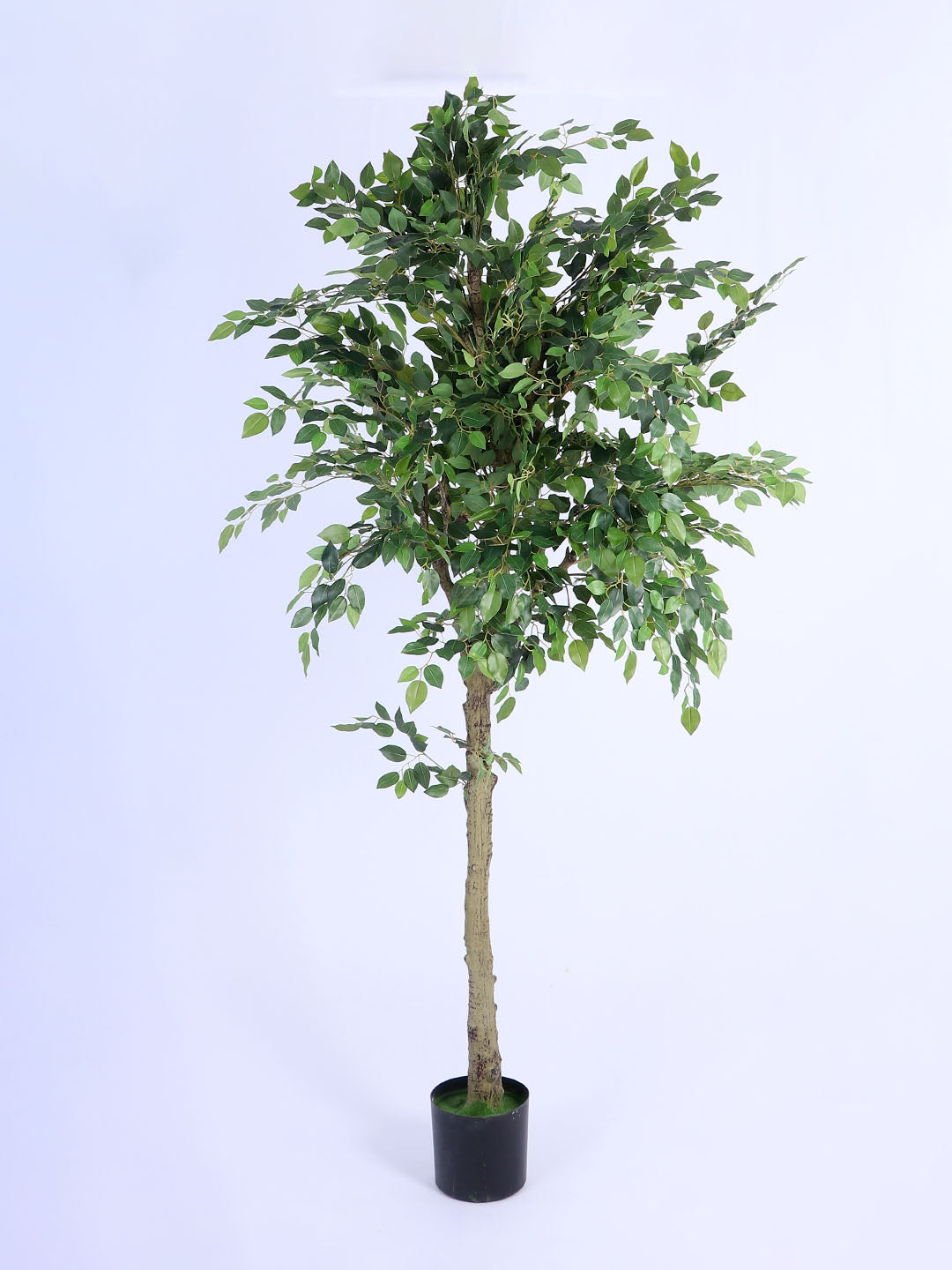 6.5Ft Large Artificial Ficus Tree