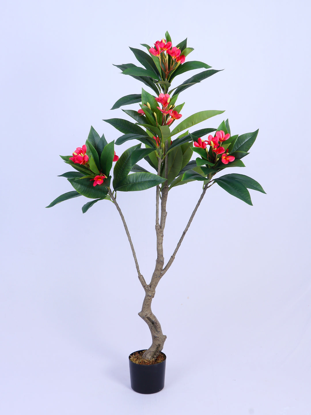 5ft Artificial Frangipani Tree