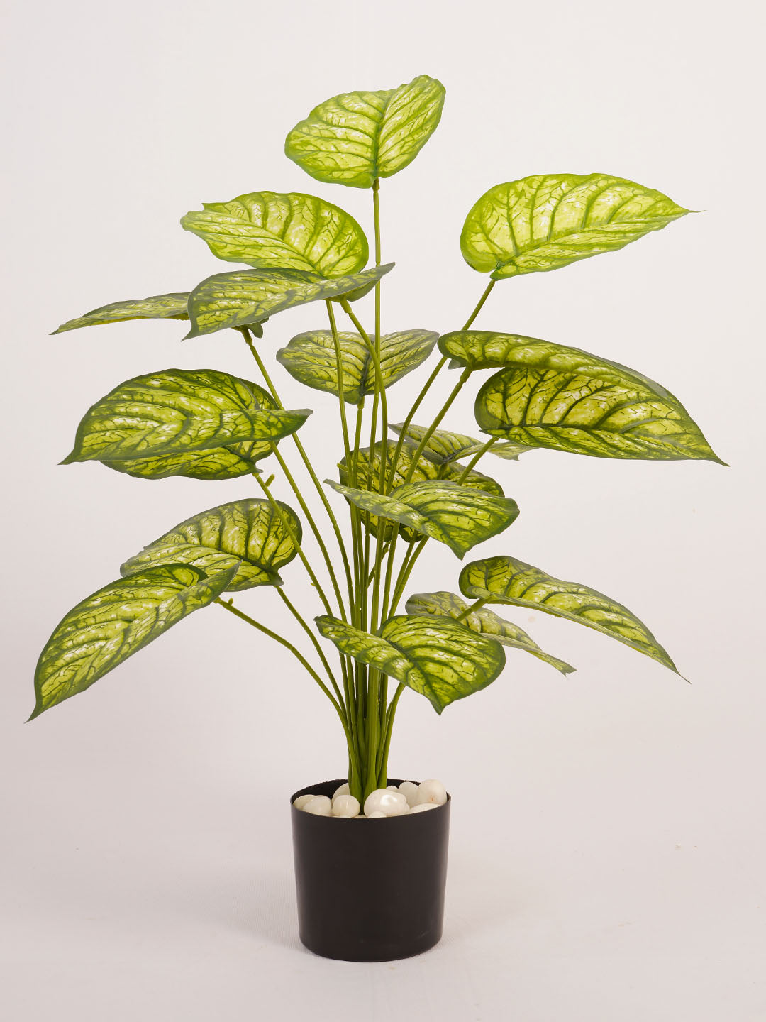 Artificial Dieffenbachia Plant - 65cm Tall