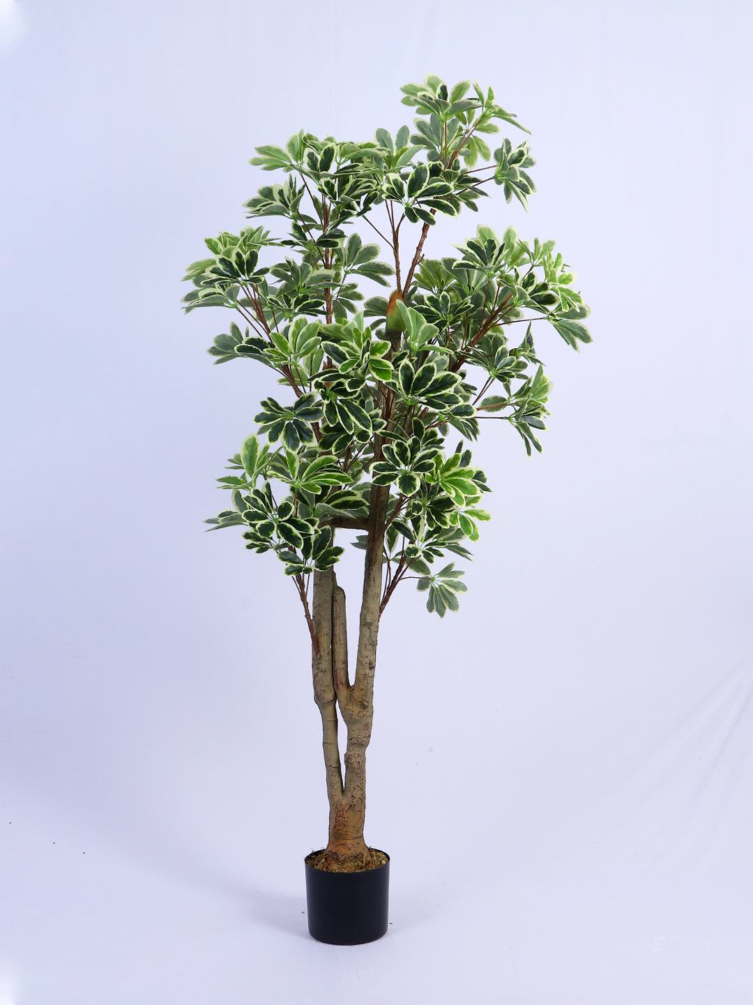 6Ft Artificial Umbrella Schefflera Tree in Pot