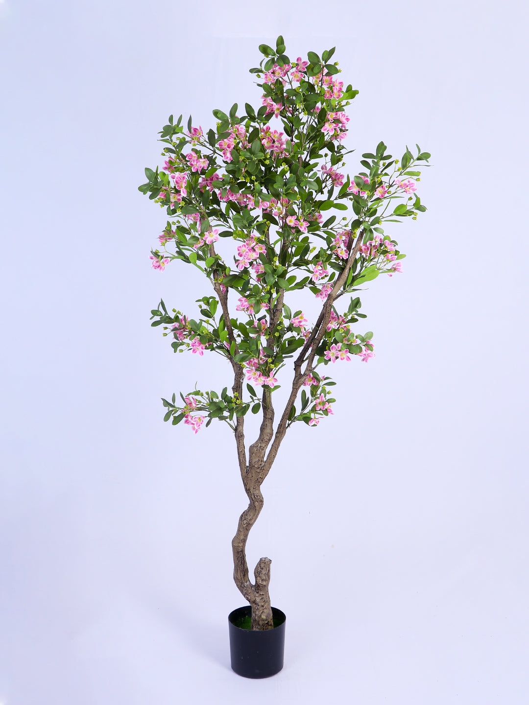 6.2Ft Artificial Sakura Cherry Blossom Tree in Pot