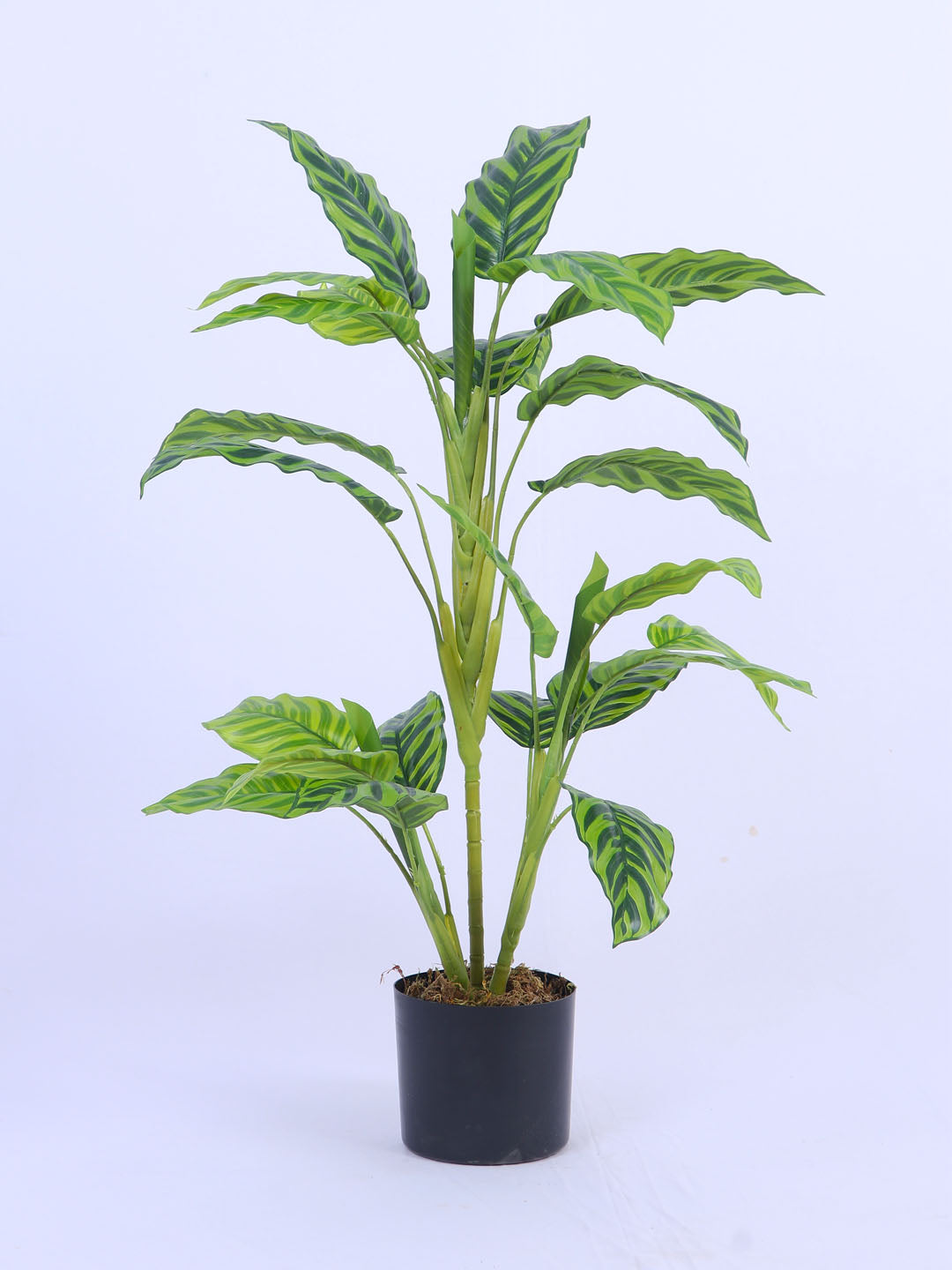3.1Ft Artificial Dieffenbachia Plant in Pot
