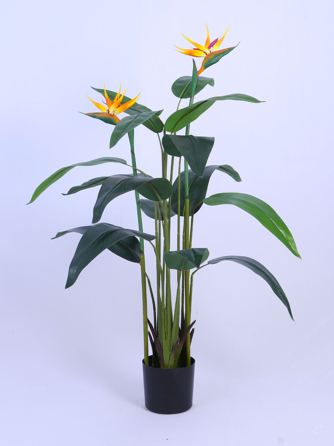 5Ft Artificial Bird of Paradise Plant in Pot