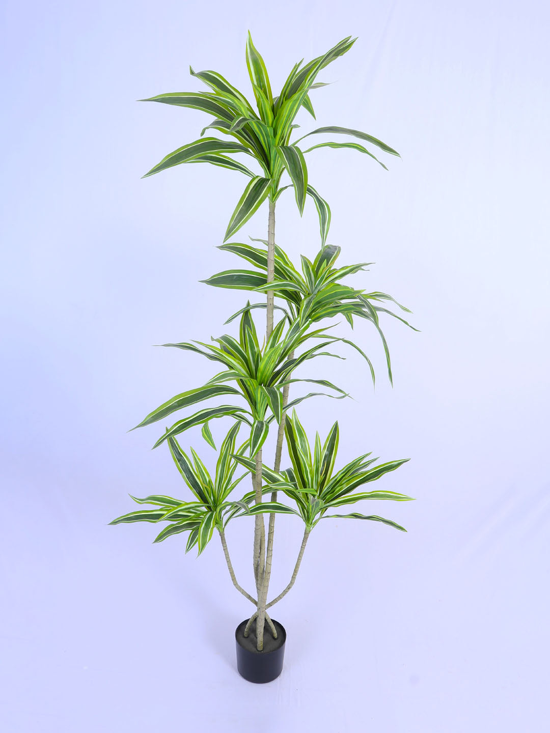 5Ft Artificial Dracaena Plant in Pot