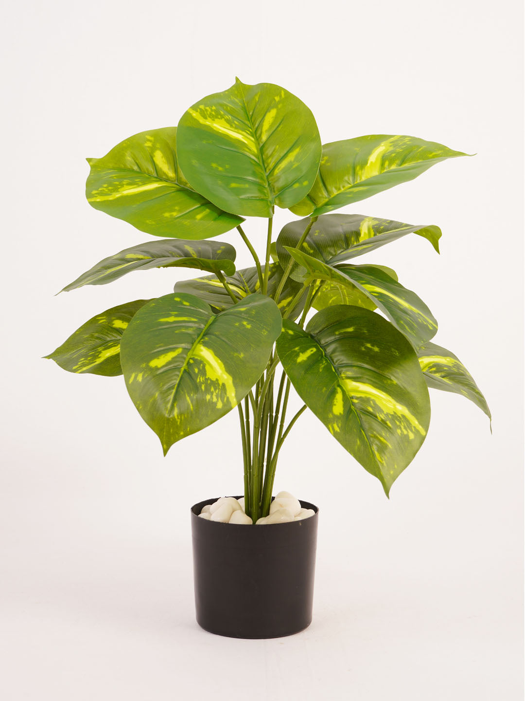 Artificial Pothos Plant - 55cm Tall