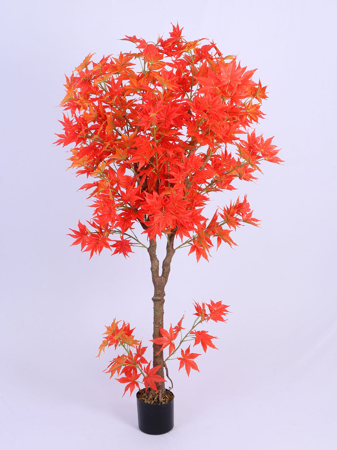 6Ft Artificial Japanese Maple Tree in Pot