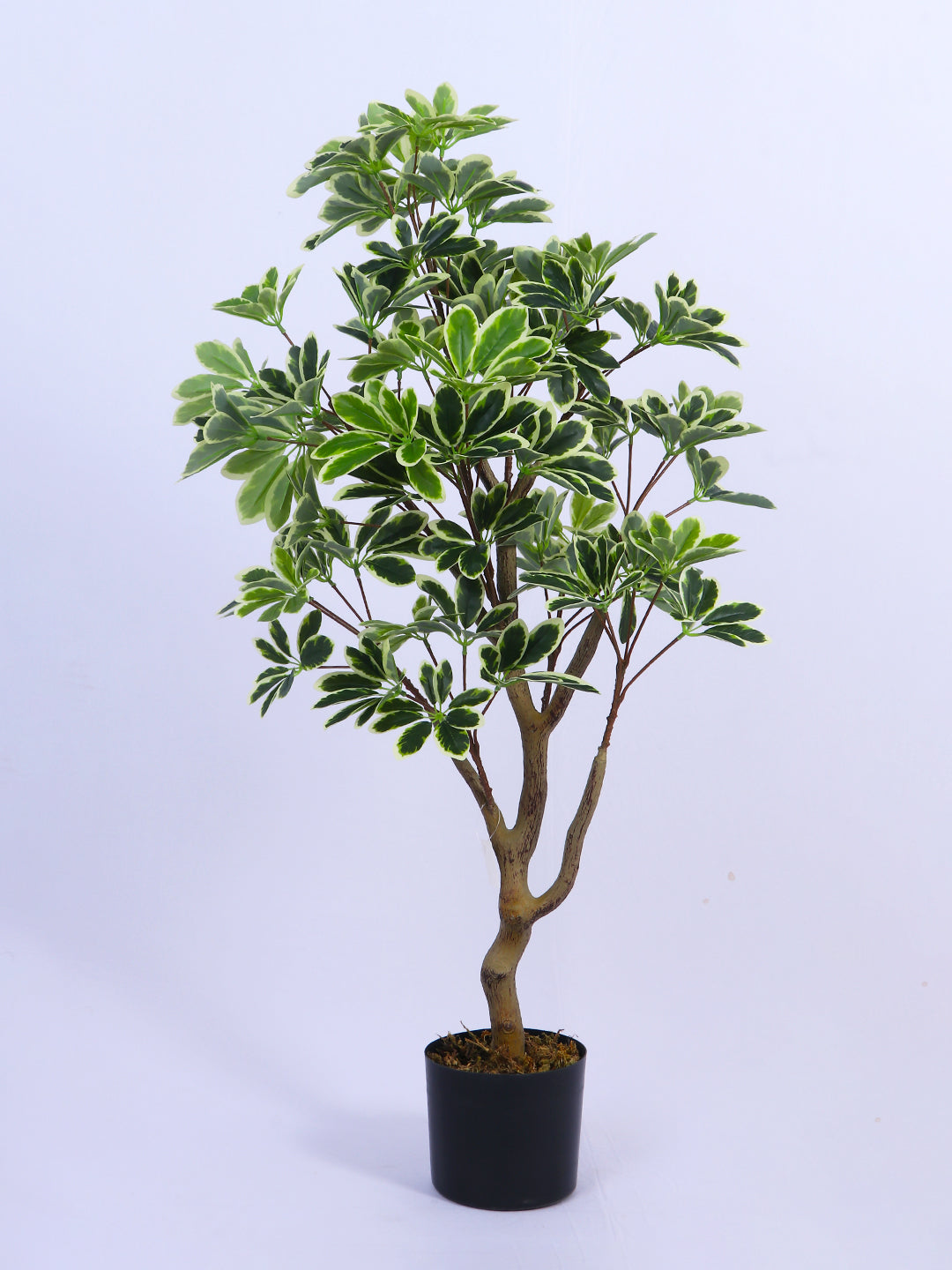 3.6Ft  Artificial Umbrella Schefflera Tree in Pot