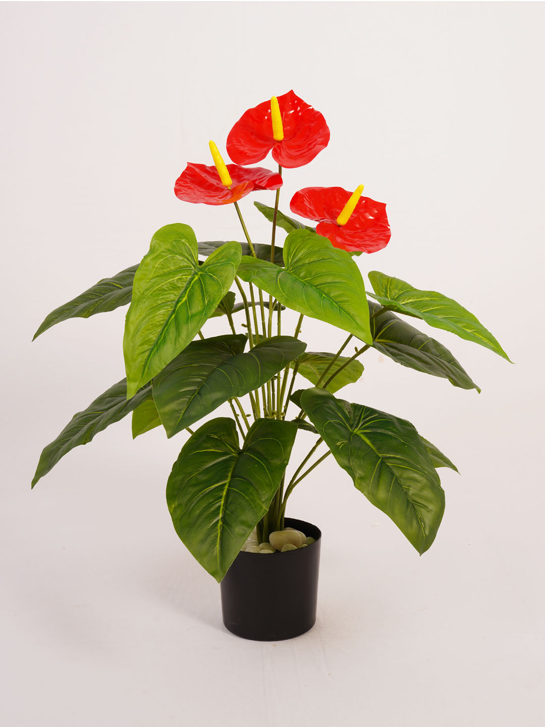 2.1Ft Artificial Anthurium Plant with Red Flowers & Black Pot