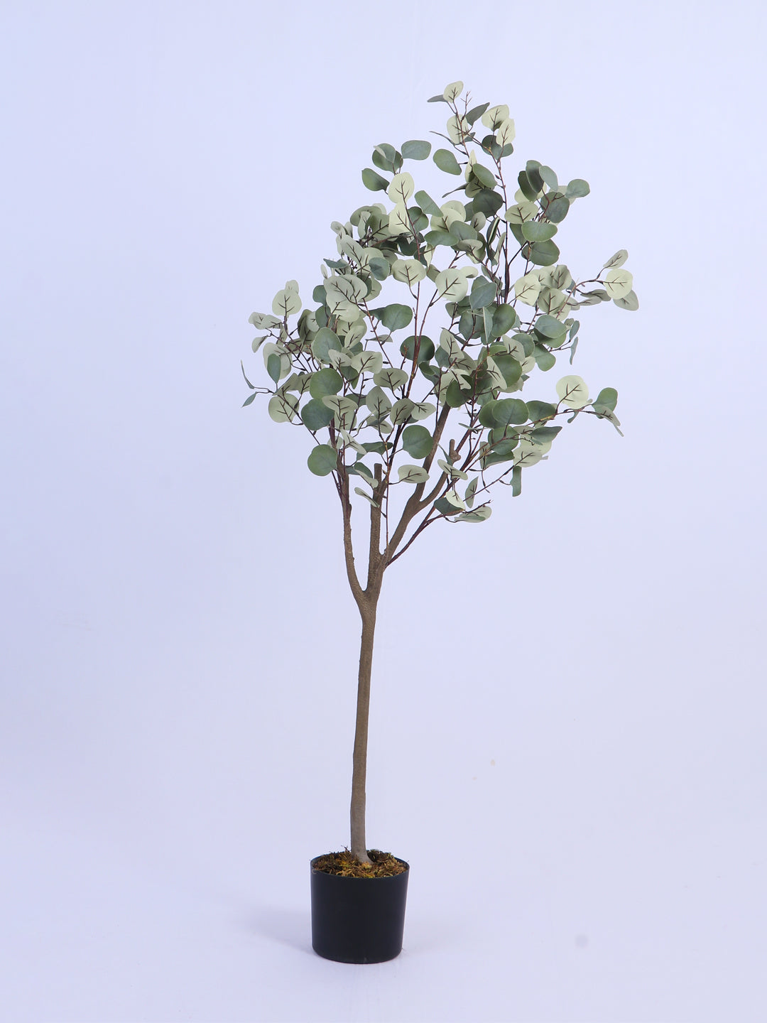 5Ft Artificial Eucalyptus Plant in Black Pot