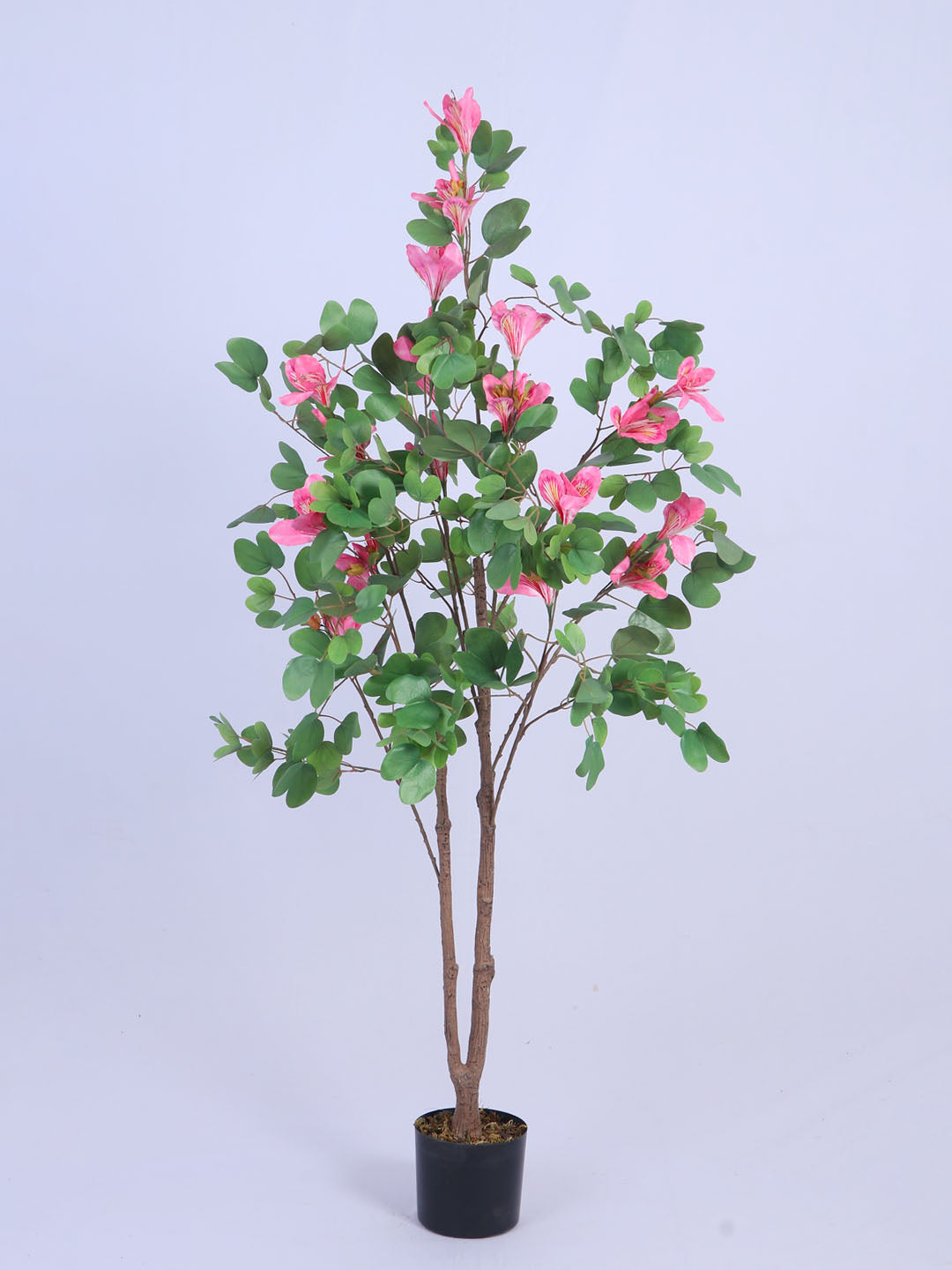 5Ft Artificial Pink Bauhinia Flowers Tree in Pot