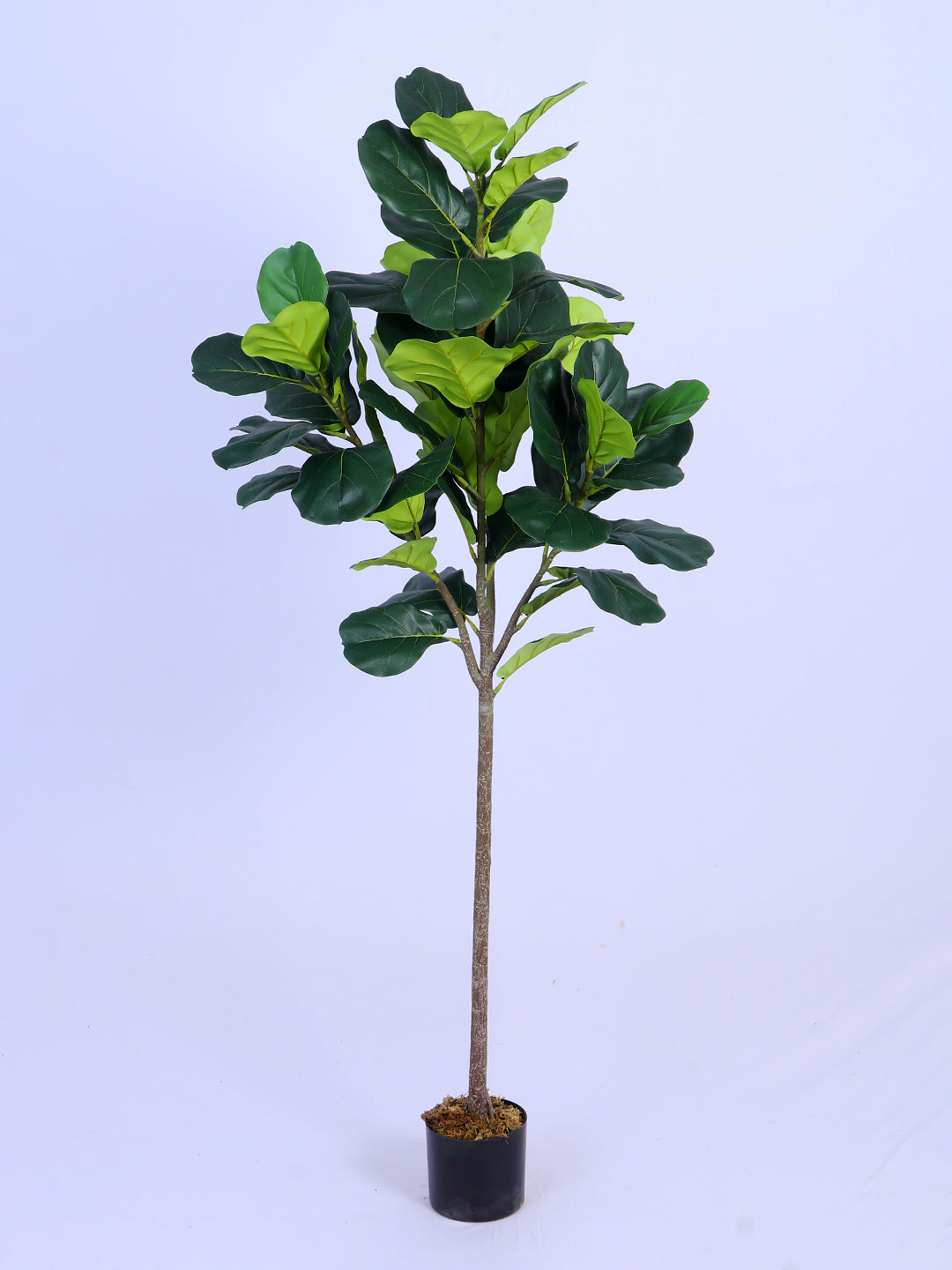 6Ft Artificial Fiddle Leaf Fig Tree in Pot