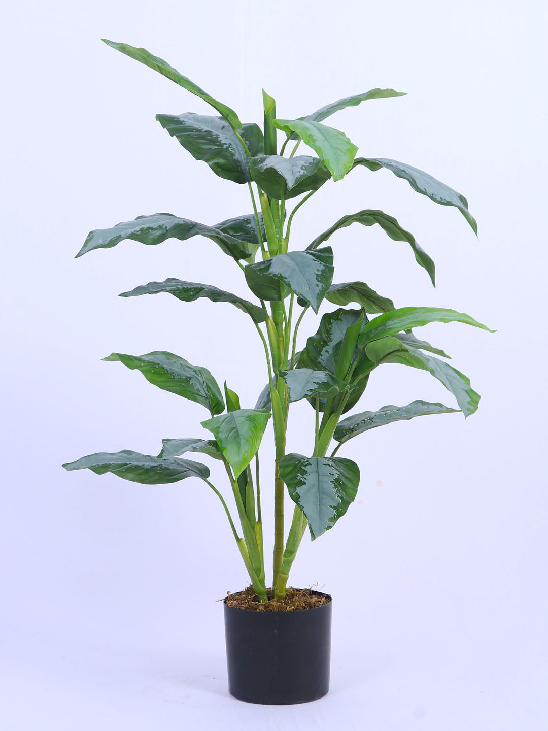 3.1Ft Artificial Dieffenbachia Plant in Pot
