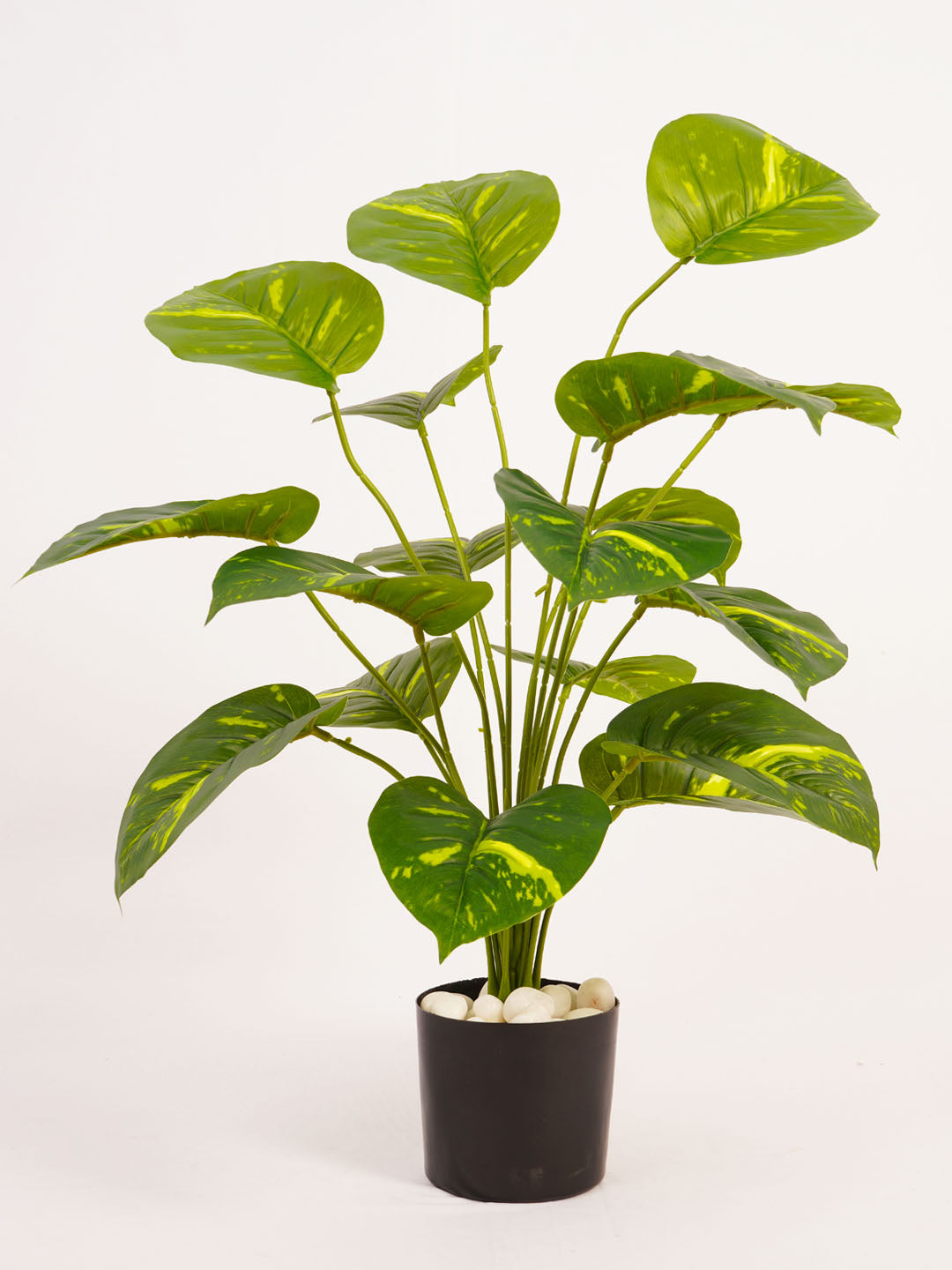 Artificial Money Plant - 65cm Tall