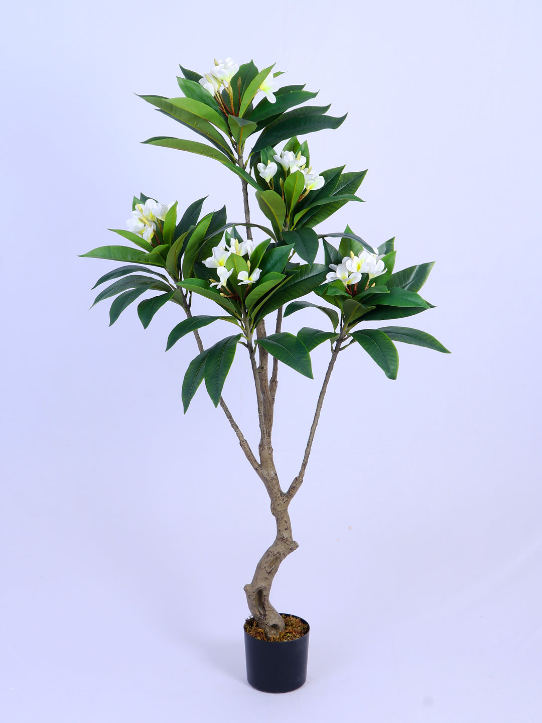 5ft Artificial Frangipani Tree