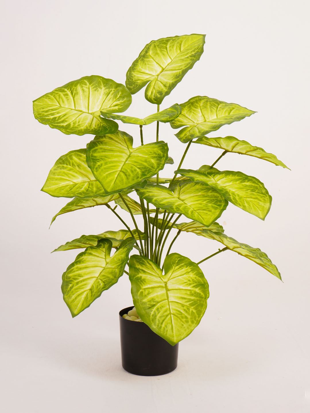 Artificial Dieffenbachia Plant - 65cm Tall