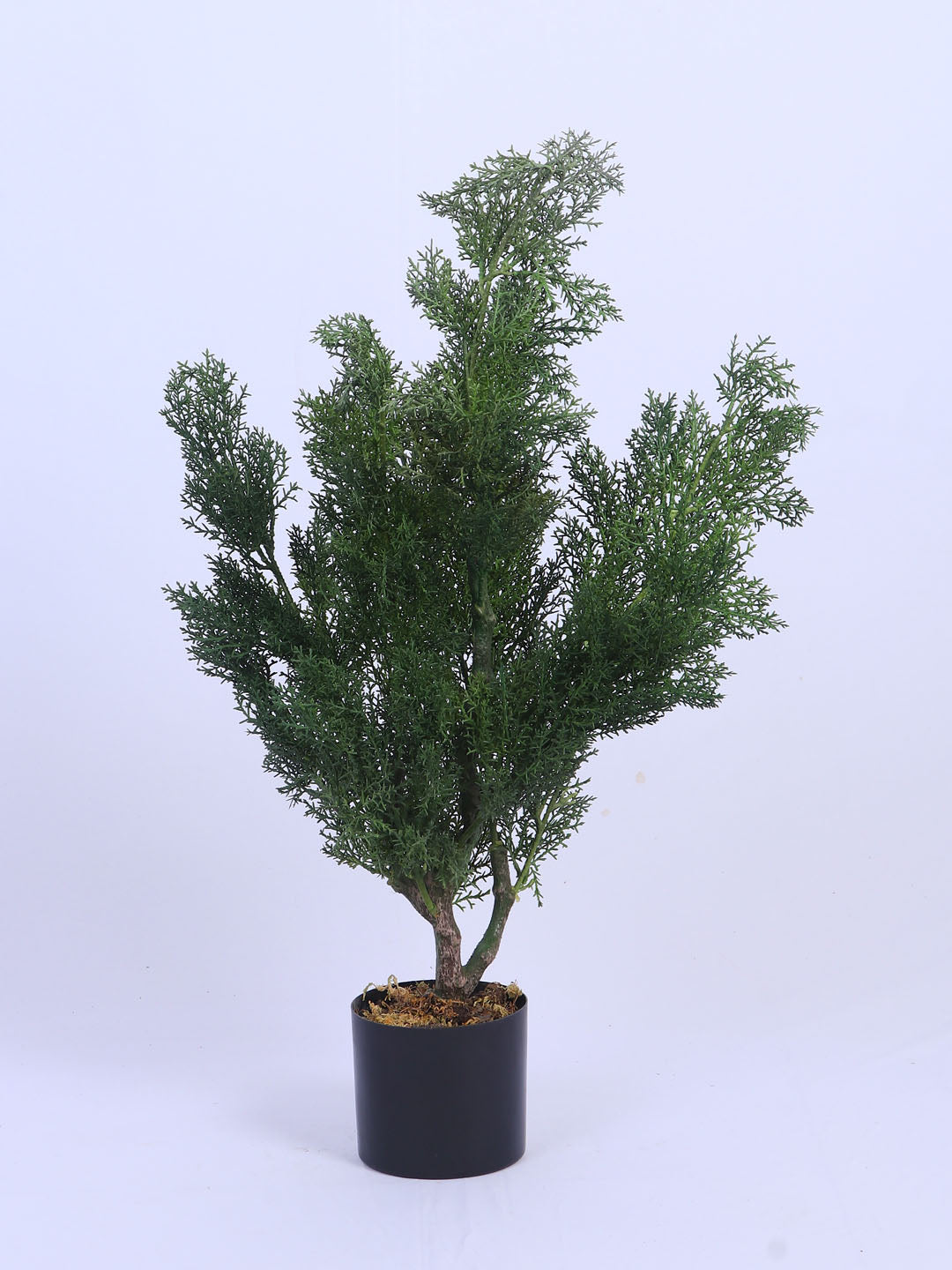 2.7Ft Artificial Topiary Cedar Tree in Pot