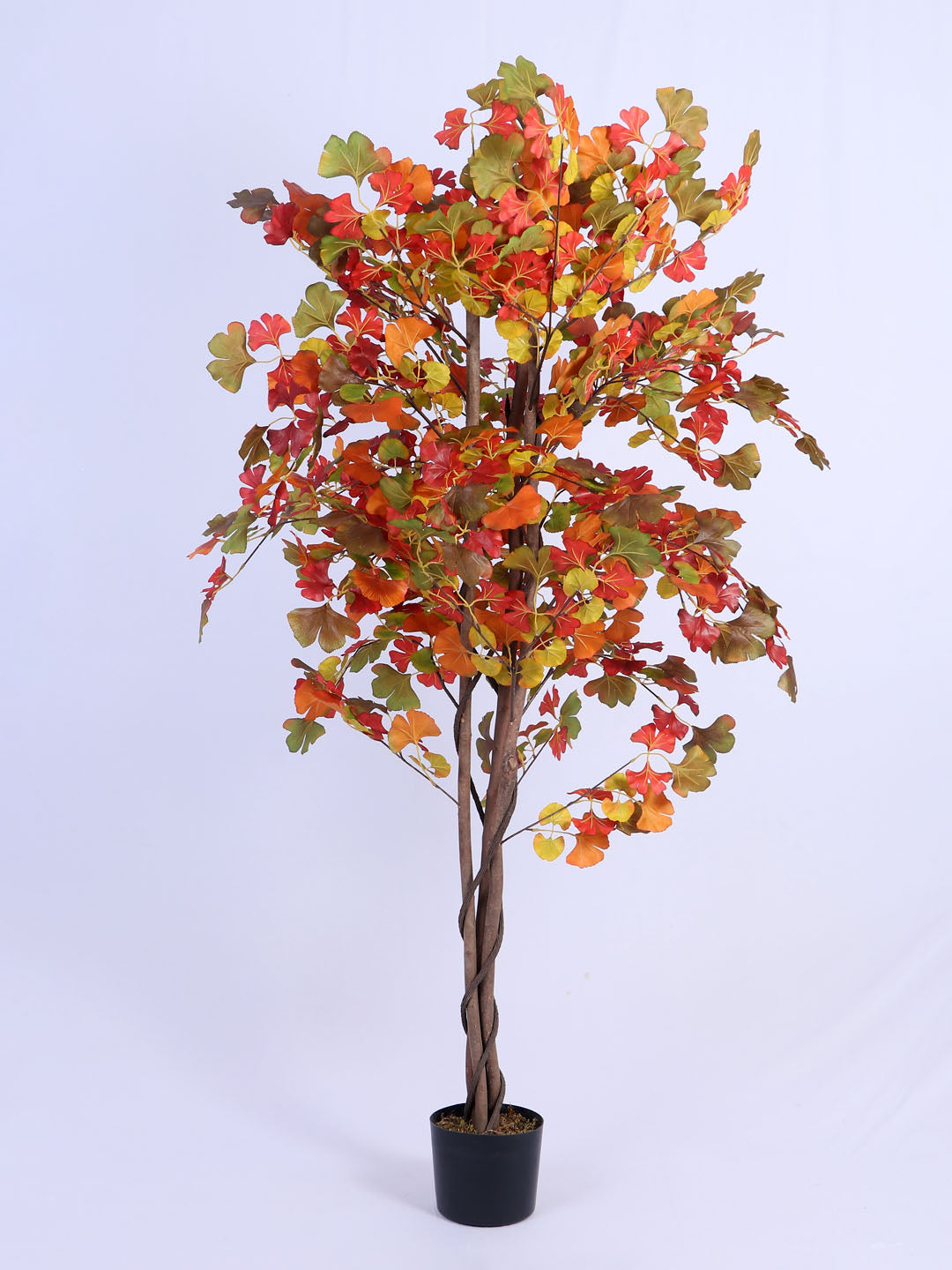 6Ft Artificial Ginkgo Tree in Pot