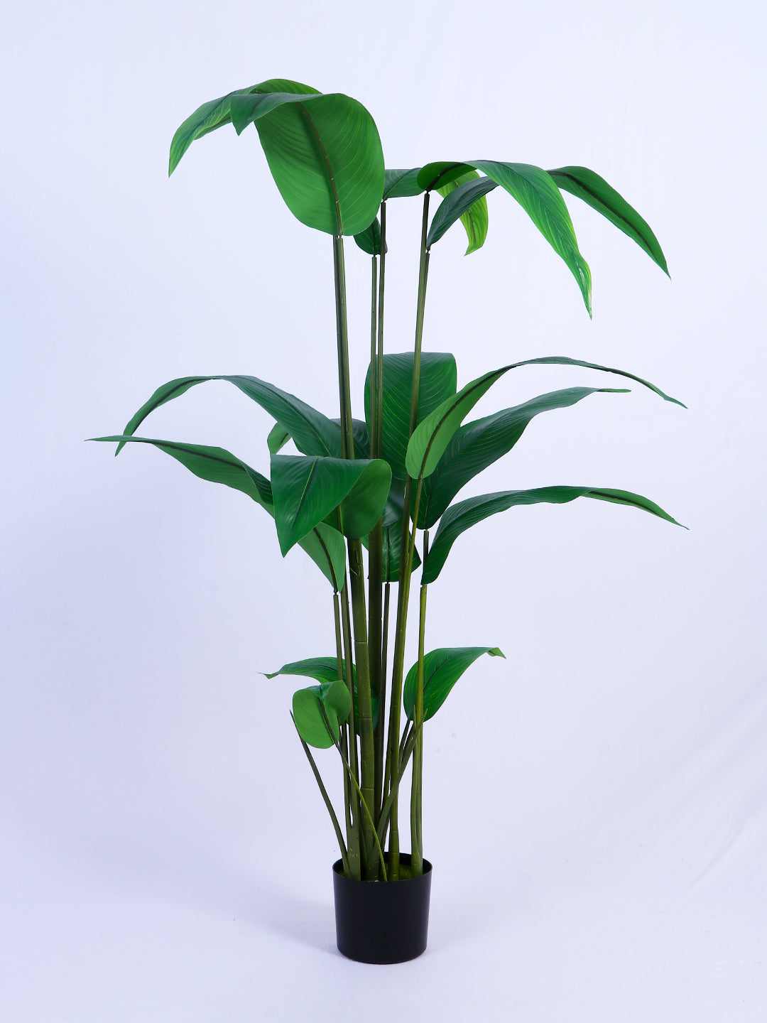 5Ft Artificial Bird of Paradise Tree in Pot