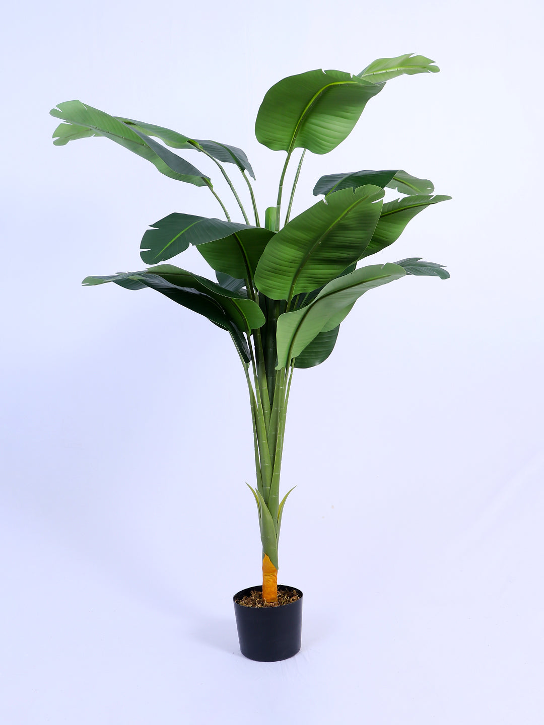 5Ft Artificial Bird of Paradise Tree in Pot