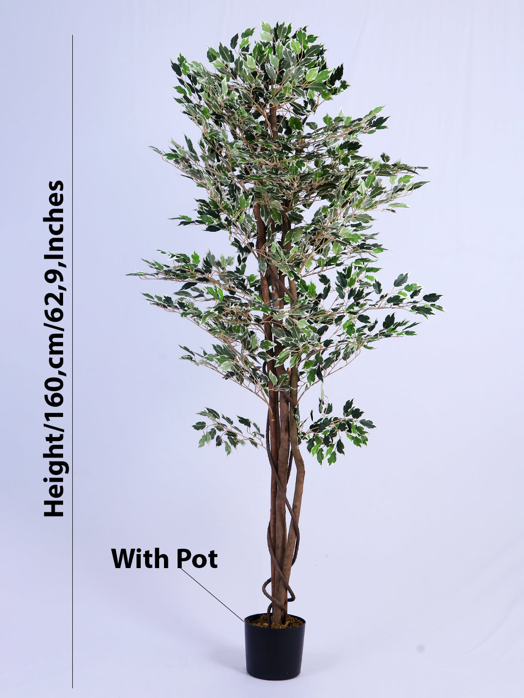 5.2Ft Artificial Variegated Ficus Tree