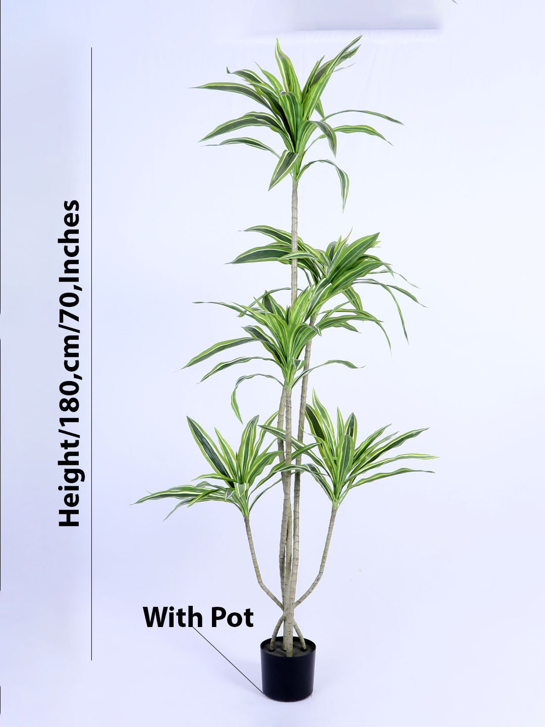 6Ft Artificial Dracaena Plant in Pot