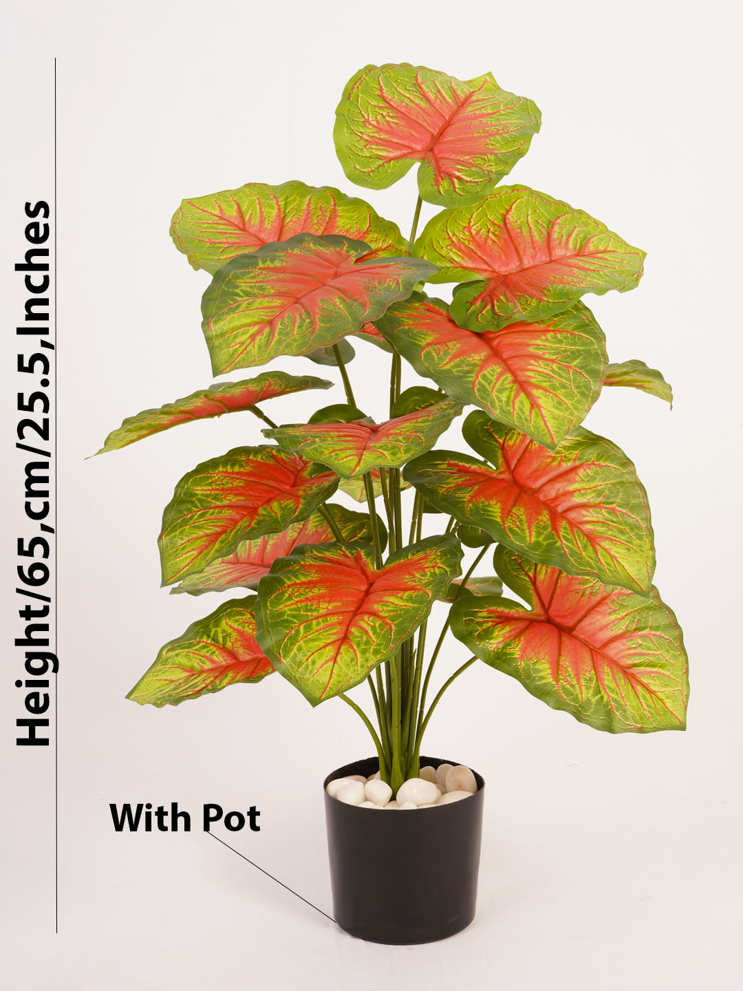 Artificial Caladium Plant - 65cm Tall